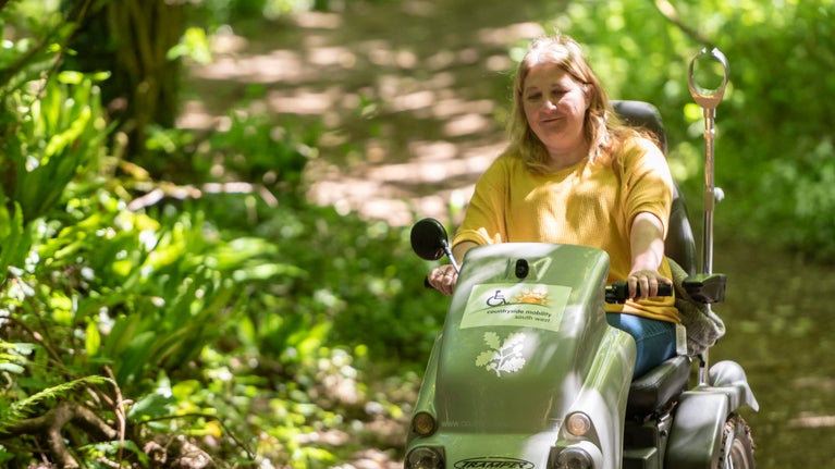A visitor drives a tramper down a path in woodland dappled in sunlight